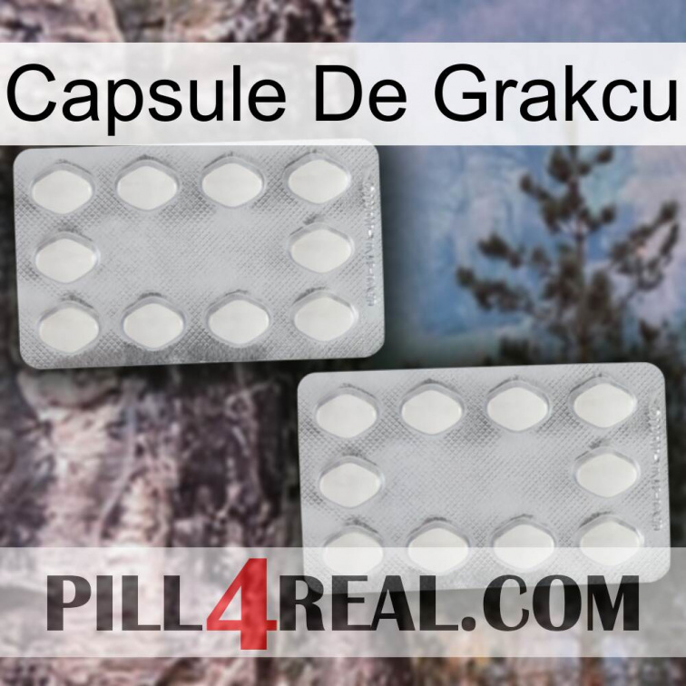 Grakcu Capsule 17